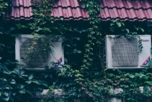 Photo by zhou shen on Pexels