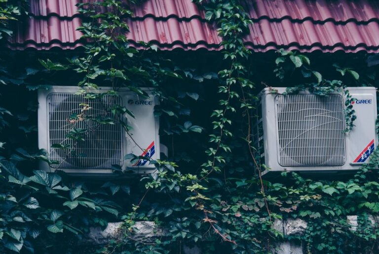 Photo by zhou shen on Pexels